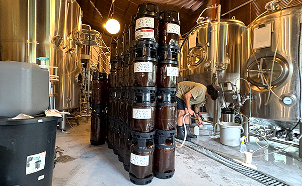 Novoru Brewing の導入シーン3